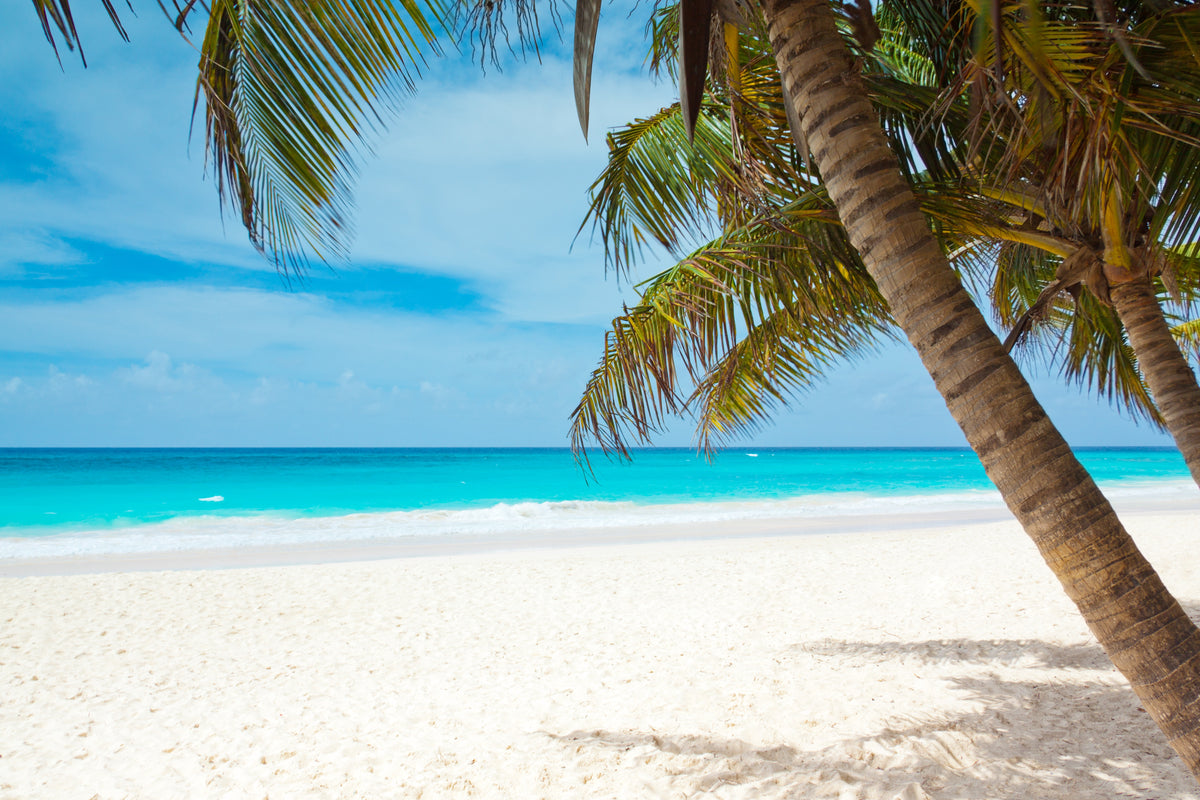 Old Bahama Blend